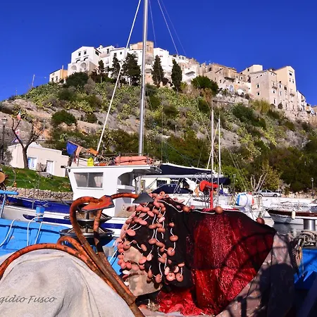 Omero 2 - Center * Sperlonga